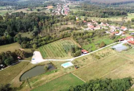 SISAK okolica, jedinstveno izletište na 32ha zelenila, Sisak - Okolica, Poslovni prostor