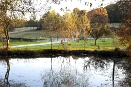 SISAK okolica, jedinstveno izletište na 32ha zelenila, Sisak - Okolica, Poslovni prostor