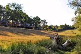 SISAK okolica, jedinstveno izletište na 32ha zelenila, Sisak - Okolica, Poslovni prostor