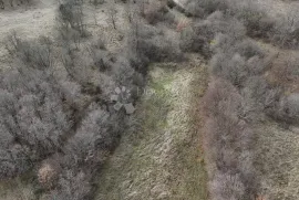 Izvor hrane i života za budućnost , u Manjadvorcima, 6700m2-poljoprivredno zemljište, Barban, Land