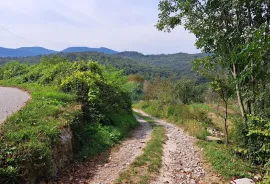 Okolica  Pasjaka ,starina,ruševina,s okućnicom, Matulji, Maison