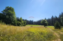 Sunger - negrađevinski teren među smrekama, Mrkopalj, Γη