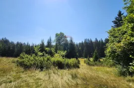 Sunger - negrađevinski teren među smrekama, Mrkopalj, Terreno