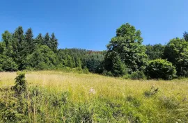 Sunger - negrađevinski teren među smrekama, Mrkopalj, Terreno