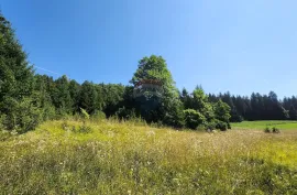 Sunger - negrađevinski teren među smrekama, Mrkopalj, Land