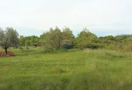 Umag - atraktivna parcela u Lovrečici 300 m od mora, Umag, Terrain