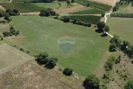 Istra, Vižinada, negrađevinsko zemljište 11 290 m2, Vižinada, Zemljište