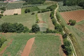 Istra, Vižinada, poljoprivredno zemljište 19 280 m2, Vižinada, Zemljište