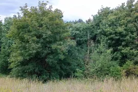 Istra, Žminj, Građevinsko zemljište na lijepoj lokaciji, površine 1953 m2, Žminj, Terrain