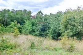 Istra, Žminj, Građevinsko zemljište na lijepoj lokaciji, površine 1953 m2, Žminj, Terra