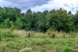 Istra, Žminj, Građevinsko zemljište na lijepoj lokaciji, površine 1953 m2, Žminj, Zemljište