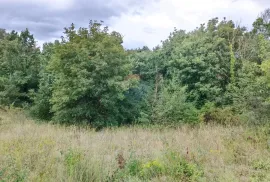 Istra, Žminj, Građevinsko zemljište na lijepoj lokaciji, površine 1953 m2, Žminj, Land