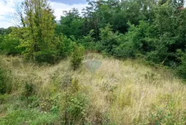 Istra, Žminj, Građevinsko zemljište na lijepoj lokaciji, površine 1953 m2, Žminj, Land