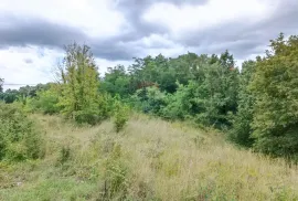 Istra, Žminj, Građevinsko zemljište na lijepoj lokaciji, površine 1953 m2, Žminj, Tierra