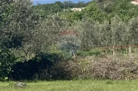 Poreč, okolica, lijepo građevinsko zemljište sa pogledom na more te objektom od 50 m2 i manjim od 17 m2, Poreč, Haus