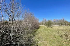 Poljoprivredno zemljište u Juršićima, Svetvinčenat, Tierra