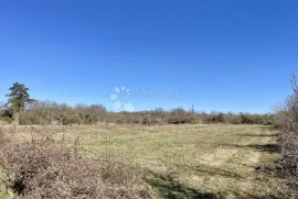 Poljoprivredno zemljište u Juršićima, Svetvinčenat, Tierra