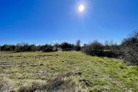 Poljoprivredno zemljište u Juršićima, Svetvinčenat, Land