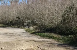 Poljoprivredno zemljište 2 km od mora, Vodnjan, Land