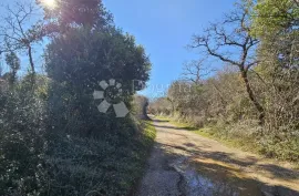 Poljoprivredno zemljište 2 km od mora, Vodnjan, Land