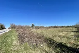 Poljoprivredno zemljište u Juršićima, Svetvinčenat, Land