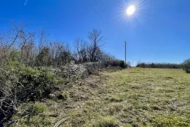 Poljoprivredno zemljište u Juršićima, Svetvinčenat, Land