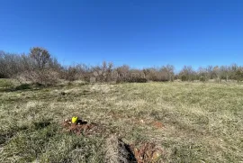 Poljoprivredno zemljište u Juršićima, Svetvinčenat, Land