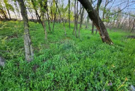 Grobnik, Zastenice - teren za obiteljsku kuću sa pristupnim putem, Čavle, Terreno