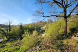 Cernik - Soboli teren poslovno  stambene namjene, Čavle, Land