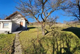 Zagorje, Zlatar (Gornja Selnica) - okućnica sa vinogradom, Zlatar, Famiglia