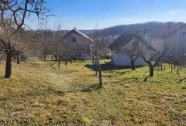 Zagorje, Zlatar (Gornja Selnica) - okućnica sa vinogradom, Zlatar, Famiglia