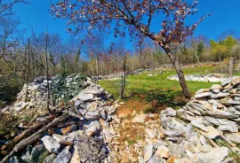 Istra,Grožnjan,okolica-Građevinsko zemljište u mirnom okruženju, Grožnjan, أرض