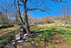 Istra,Grožnjan,okolica-Građevinsko zemljište u mirnom okruženju, Grožnjan, Terrain