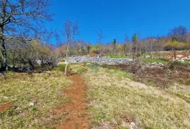 Istra,Grožnjan,okolica-Građevinsko zemljište u mirnom okruženju, Grožnjan, Land