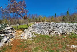 Istra,Grožnjan,okolica-Građevinsko zemljište u mirnom okruženju, Grožnjan, Terreno