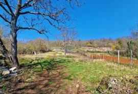 Istra,Grožnjan,okolica-Građevinsko zemljište u mirnom okruženju, Grožnjan, Terreno