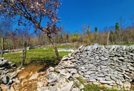 Istra,Grožnjan,okolica-Građevinsko zemljište u mirnom okruženju, Grožnjan, أرض