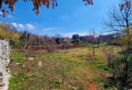 Istra,Grožnjan,okolica-Građevinsko zemljište u mirnom okruženju, Grožnjan, Terra