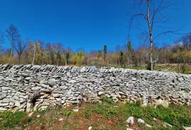 Istra,Grožnjan,okolica-Građevinsko zemljište u mirnom okruženju, Grožnjan, Terra