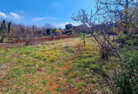 Istra,Grožnjan,okolica-Građevinsko zemljište u mirnom okruženju, Grožnjan, أرض