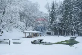 Lika,Nova Kršlja,građevno-poljoprivredni teren 88604 m2, Rakovica, Terreno