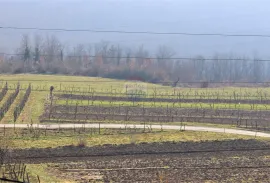 Istra, okolica Motovuna, autohtona istarska kuća, Oprtalj, Kuća