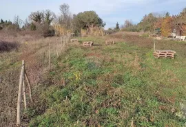 Istra,poljoprivredno zemljište u blizini Umaga i mora, Umag, Zemljište