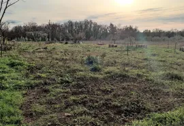 Istra,poljoprivredno zemljište u blizini Umaga i mora, Umag, Zemljište