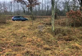 Istra, Grožnjan okolica, lijepa građevinska parcela, Grožnjan, أرض