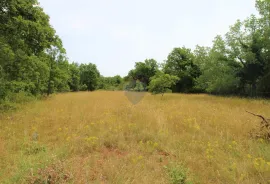 Istra, Grožnjan okolica, lijepa građevinska parcela, Grožnjan, أرض