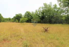 Istra, Grožnjan okolica, lijepa građevinska parcela, Grožnjan, أرض