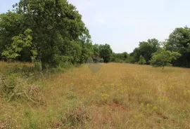 Istra, Grožnjan okolica, lijepa građevinska parcela, Grožnjan, أرض