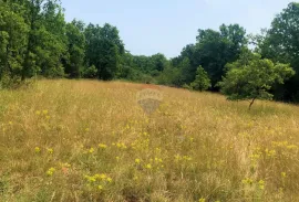 Istra, Grožnjan okolica, lijepa građevinska parcela, Grožnjan, أرض