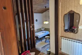 Prekrasna kuća sa velikom okućnicom, Sveti Ivan Zelina, Maison